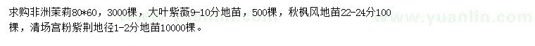 求購非洲茉莉、大葉紫薇、秋楓等