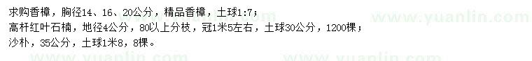求購香樟、高桿紅葉石楠、沙樸