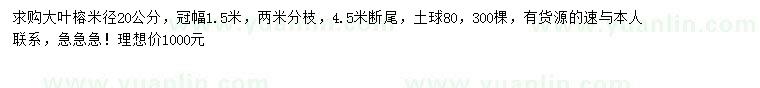 求購米徑20公分大葉榕