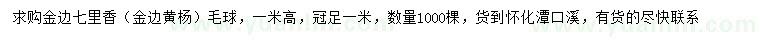 求購(gòu)高1米金邊黃楊