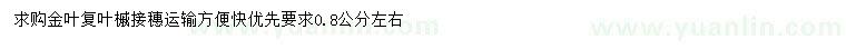 求購0.8公分左右金葉復(fù)葉槭接穗