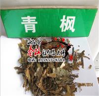 景觀樹種子 青楓種子 可嫁接紅楓 質(zhì)量好 春林種業(yè)