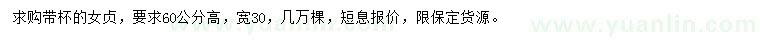 求購高60公分女貞