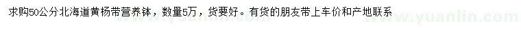 求購50公分北海道黃楊