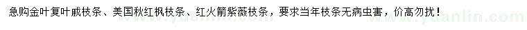求購(gòu)金葉復(fù)葉戚枝條、美國(guó)秋紅楓枝條、紅火箭紫薇枝條