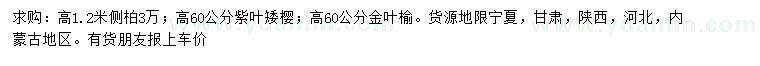 求購(gòu)側(cè)柏、紫葉矮櫻、金葉榆