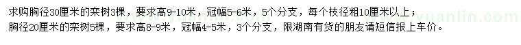 求購胸徑20、30公分欒樹