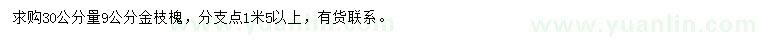 求購30公分量9公分金枝槐