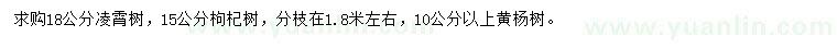 求購凌霄樹、枸杞樹、黃楊樹