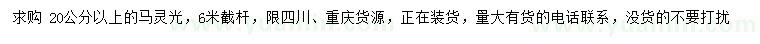 求購20公分以上馬靈光