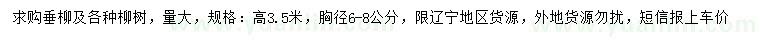 求購(gòu)高3.5米柳樹(shù)