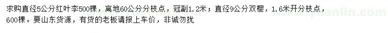 求購直徑5公分紅葉李、9公分雙櫻