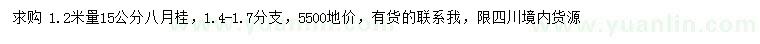 求購1.2米量15公分八月桂