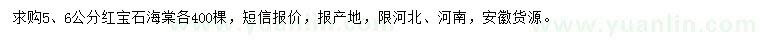 求購5、6公分紅寶石海棠