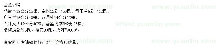 求購馬褂木、欒樹、紫玉蘭等