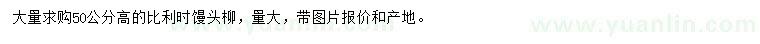 求購高50公分比利時饅頭柳