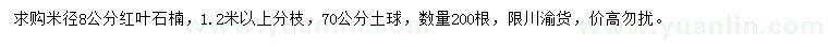 求購(gòu)米徑8公分紅葉石楠