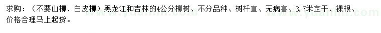求購4公分柳樹