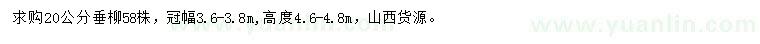 求購20公分垂柳