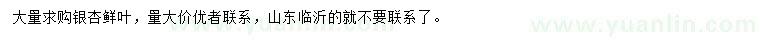 求購銀杏鮮葉