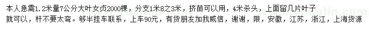 求購1.2米量7公分大葉女貞