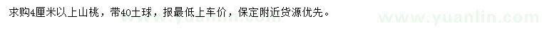 求購4公分以上山桃