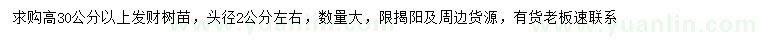 求購(gòu)高30公分以上發(fā)財(cái)樹(shù)