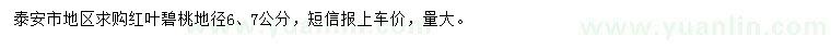 求購(gòu)地徑6、7公分紅葉碧桃