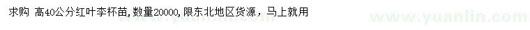 求購高40公分紅葉李杯苗