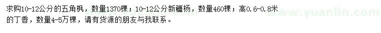 求購五角楓、新疆楊、丁香