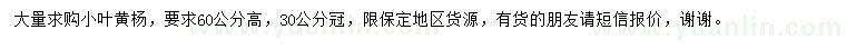 求購高60公分小葉黃楊