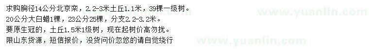 求購(gòu)胸徑14公分北京欒、20、23公分大白蠟