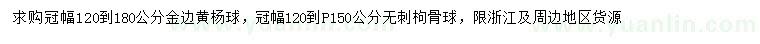 求購金邊黃楊球、無刺枸骨球