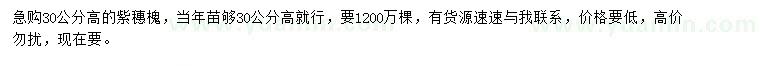 求購高30公分紫穗槐