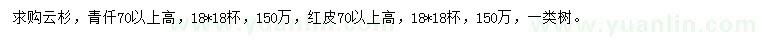 求購(gòu)高70公分以上青仟、紅皮云杉