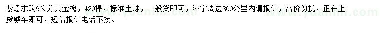 求購9公分黃金槐