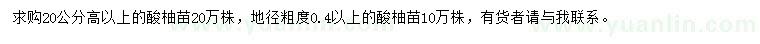 求購(gòu)酸柚苗