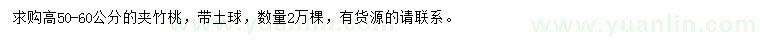 求購高50-60公分夾竹桃