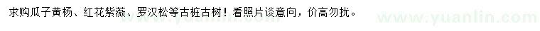 求購(gòu)瓜子黃楊、紅花紫薇、羅漢松等