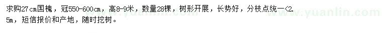 求購27公分國槐