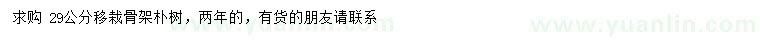 求購29公分樸樹