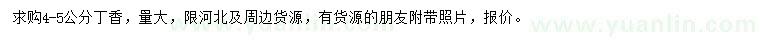 求購4-5公分丁香