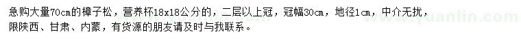 求購70公分樟子松