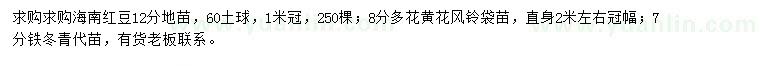 求購海南紅豆、多花黃花風(fēng)鈴、鐵冬青
