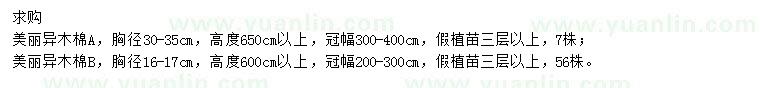 求購(gòu)美麗異木棉