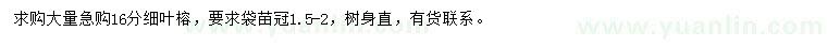 求購(gòu)16公分細(xì)葉榕