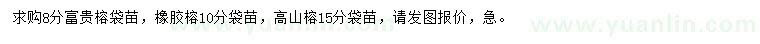 求購(gòu)富貴榕、橡膠榕、高山榕