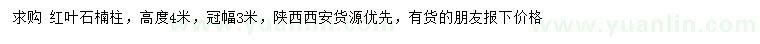 求購高4米紅葉石楠柱