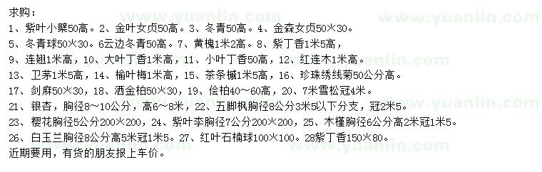 求購紫葉小檗、金葉女貞、冬青等
