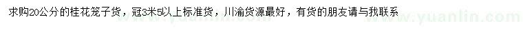 求購20公分桂花樹